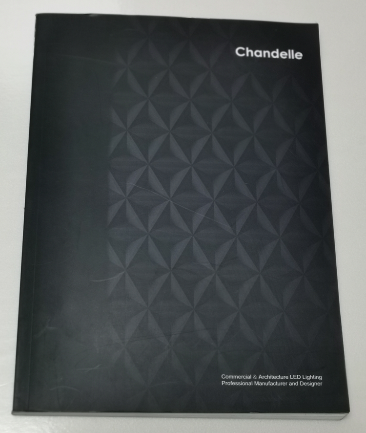 chandelle-企业英文宣传册印刷制作