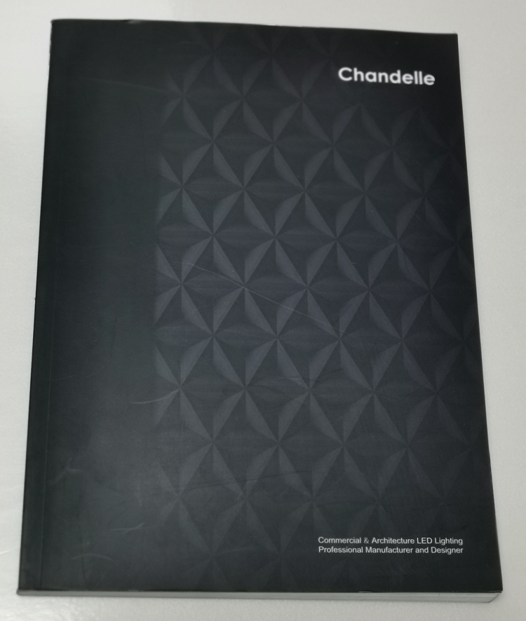 chandelle-企业英文宣传册